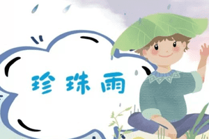 珍珠雨