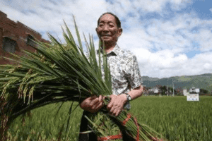 新中国十大劳模：袁隆平